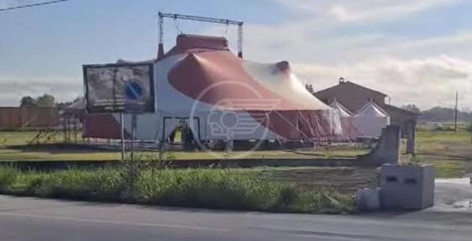 Vicario (FI): "Strisce pedonali ad hoc per il dopo Festival, ma non per i cittadini"  Vicario (FI): "Strisce pedonali ad hoc per il dopo Festival, ma non per i cittadini"