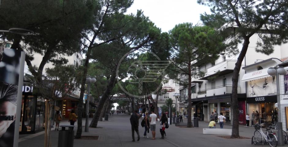 "Alzi la mano chi ha deciso l'abbattimento dei 12 pini in viale Ceccarini" "Alzi la mano chi ha deciso l'abbattimento dei 12 pini in viale Ceccarini"