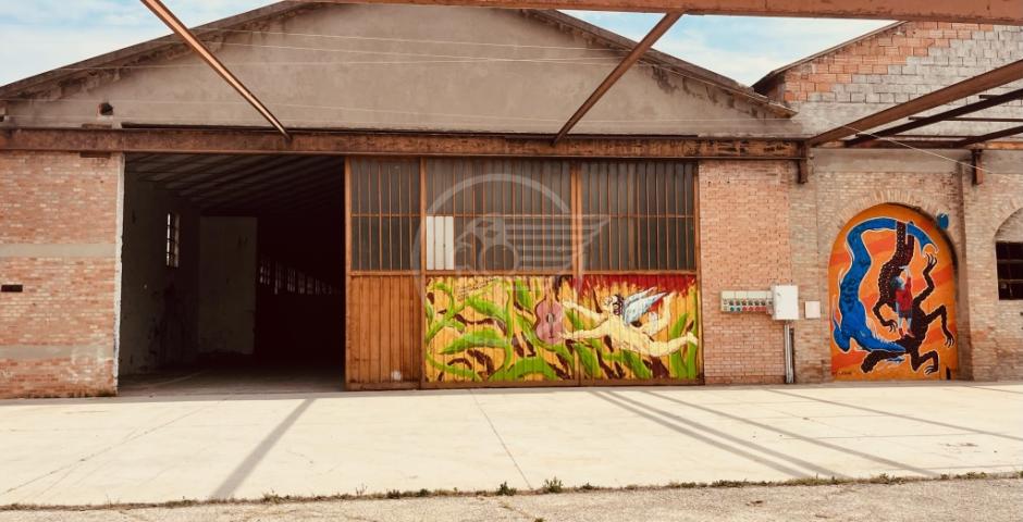 Benaglia scrive al suo diario, sulla proposta fatta a suo tempo di comprare l'asta il camping Carloni Benaglia scrive al suo diario, sulla proposta fatta a suo tempo di comprare l'asta il camping Carloni