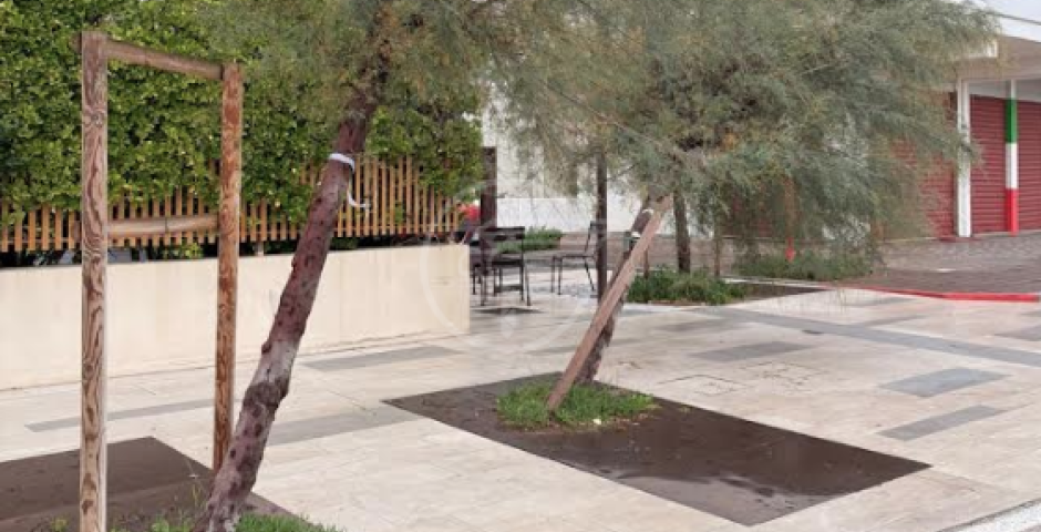 Benaglia: "Ma fare manutenzione ad un'opera da oltre 20 milioni, è così faticoso?" Benaglia: "Ma fare manutenzione ad un'opera da oltre 20 milioni, è così faticoso?"