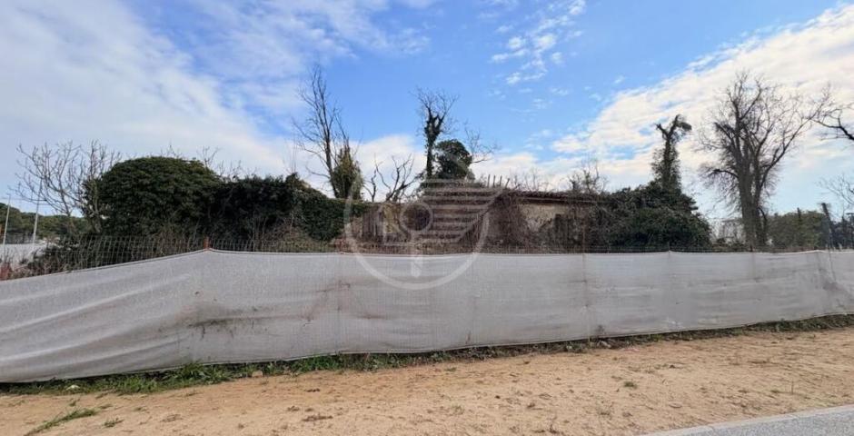 Mulino di Viserba: appello di Benaglia, "la Frisoni si è dimenticata degli impegni presi" Mulino di Viserba: appello di Benaglia, "la Frisoni si è dimenticata degli impegni presi"