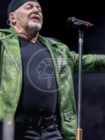 Vasco Rossi per due concerti al "Neri"il prossimo maggio. Si parte con la prevendita dei biglietti. Ecco come fare per averli Vasco Rossi per due concerti al "Neri"il prossimo maggio. Si parte con la prevendita dei biglietti. Ecco come fare per averli