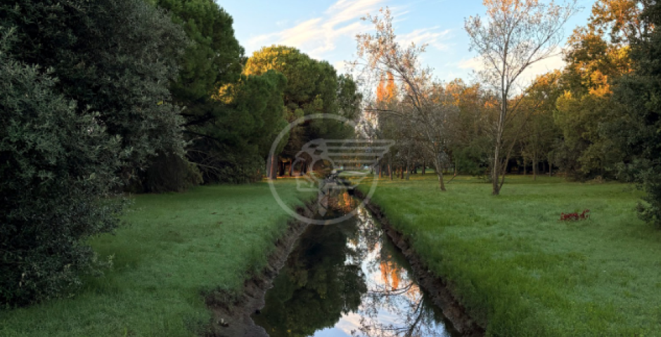 Benaglia: "Parcheggi nei vecchi hotel e forum urbani, il vuoto politico pesa" Benaglia: "Parcheggi nei vecchi hotel e forum urbani, il vuoto politico pesa"