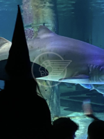 Rimini verso Halloween, tutti gli appuntamenti Rimini verso Halloween, tutti gli appuntamenti