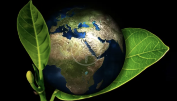 Per la prima volta Rimini entra nelle prime 10 città ecologicamente più virtuose d'Italia Per la prima volta Rimini entra nelle prime 10 città ecologicamente più virtuose d'Italia