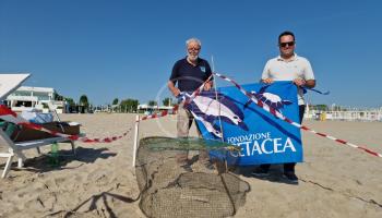 Comune di Riccione e Fondazione Cetacea insieme per il mare: presto un accordo triennale per la tutela della biodiversità marina Comune di Riccione e Fondazione Cetacea insieme per il mare: presto un accordo triennale per la tutela della biodiversità marina