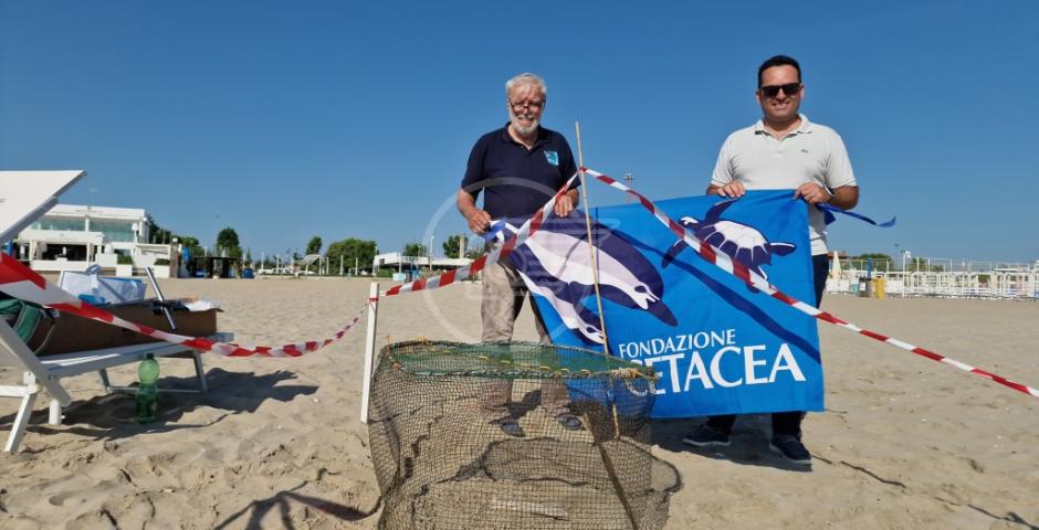 Comune di Riccione e Fondazione Cetacea insieme per il mare: presto un accordo triennale per la tutela della biodiversità marina Comune di Riccione e Fondazione Cetacea insieme per il mare: presto un accordo triennale per la tutela della biodiversità marina
