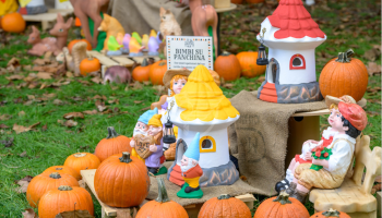 Zucca, giochi e sapori d’autunno: inaugurato il “Parco delle zucche” per tutta la famiglia Zucca, giochi e sapori d’autunno: inaugurato il “Parco delle zucche” per tutta la famiglia