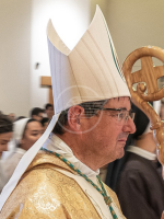 Solennità di San Gaudenzo patrono della Città e della Diocesi: le iniziative del 14 ottobre Solennità di San Gaudenzo patrono della Città e della Diocesi: le iniziative del 14 ottobre