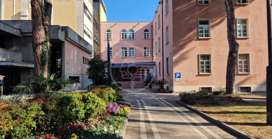 Riccione entra nello Stato civile digitale: certificati disponibili online, meno burocrazia e servizi più rapidi per i cittadini  Riccione entra nello Stato civile digitale: certificati disponibili online, meno burocrazia e servizi più rapidi per i cittadini